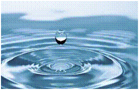 Immagine correlata